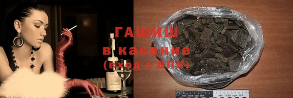 индика Арсеньев