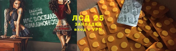 прущие грибы Аркадак