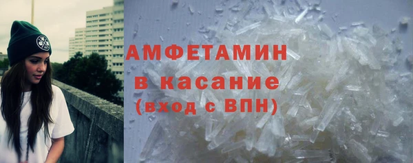 прущие грибы Аркадак