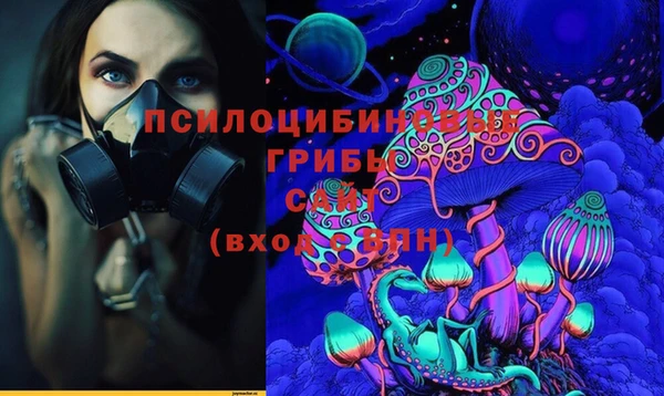 индика Арсеньев