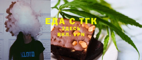 индика Арсеньев
