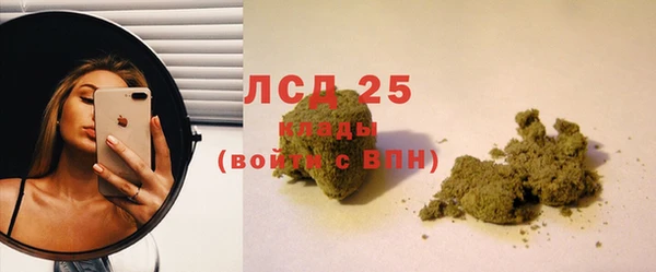 прущие грибы Аркадак
