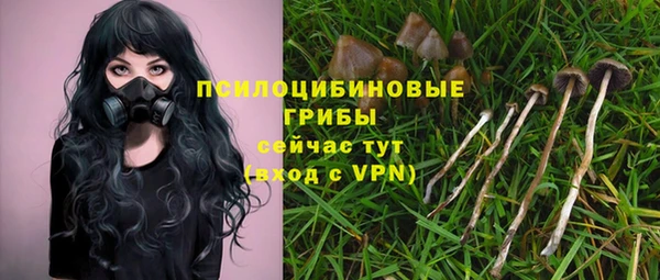 прущие грибы Аркадак