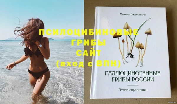 индика Арсеньев