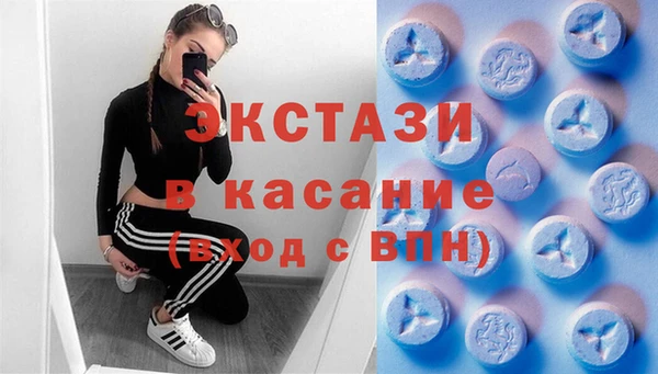 прущие грибы Аркадак