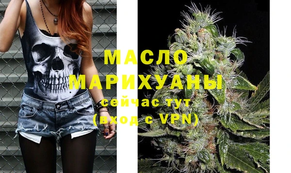 индика Арсеньев