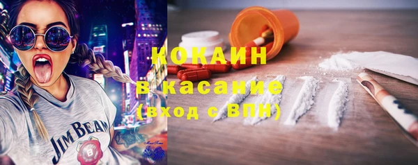 индика Арсеньев
