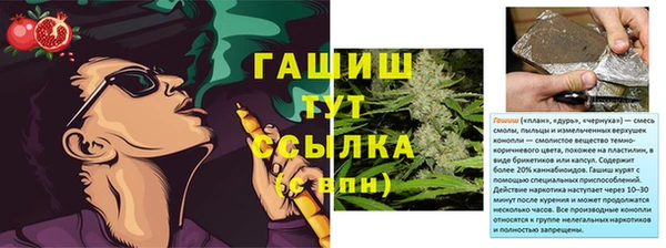 прущие грибы Аркадак