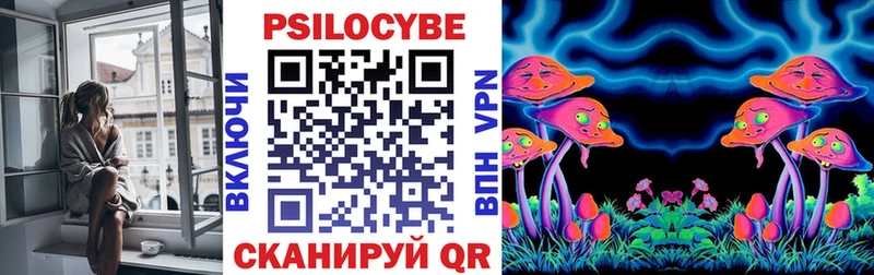 Псилоцибиновые грибы Cubensis  Микунь 